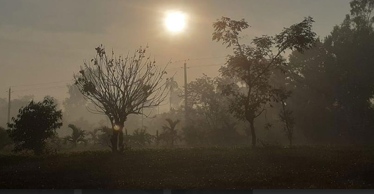 তাপমাত্রার পারদ নামল ৯ ডিগ্রির ঘরে পঞ্চগড়ে  