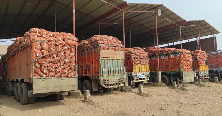 ভারত থেকে আলু-পেঁয়াজ আমদানি বন্ধ, দাম বৃদ্ধির আশঙ্কা