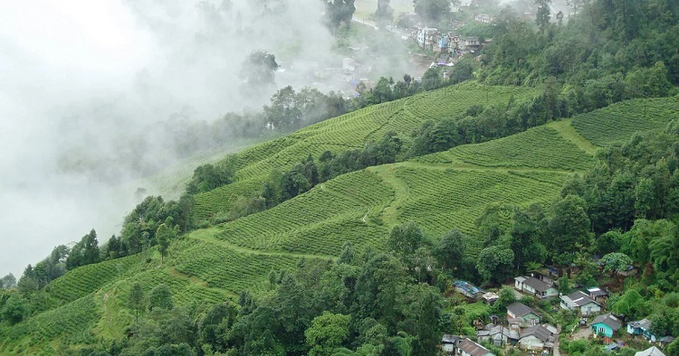 দার্জিলিংয়ের টংলু ও সান্দাকফু যাওয়ার উপায় ও আনুষঙ্গিক খরচ