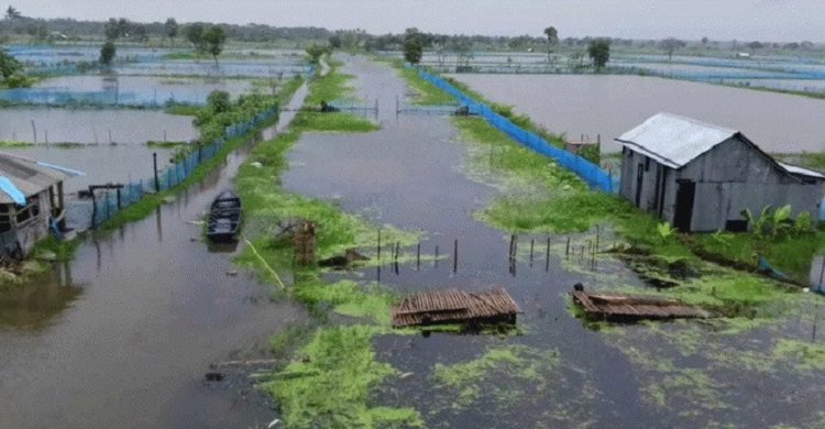 খুলনায় তলিয়ে গেছে ৮,২৫০টি মাছের ঘের, ক্ষতি ১০০ কোটি