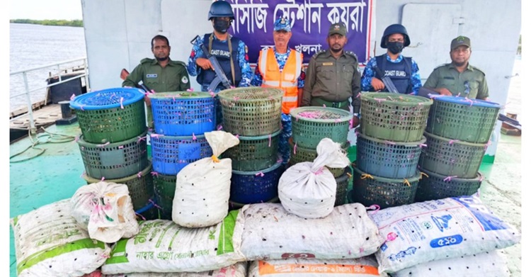সুন্দরবনসংলগ্ন এলাকা থেকে ৮৫০ কেজি কাকড়া জব্দ
