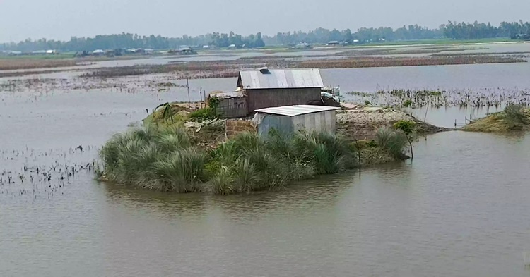 কুড়িগ্রামের বন্যাকবলিত চরাঞ্চলে জনপ্রিয় হয়ে উঠছে ‘গুচ্ছ বসতভিটা’