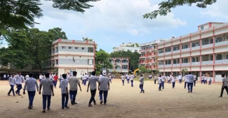 শেরপুরে ভিমরুলের কামড়ে ১৬ শিশুশিক্ষার্থী আহত