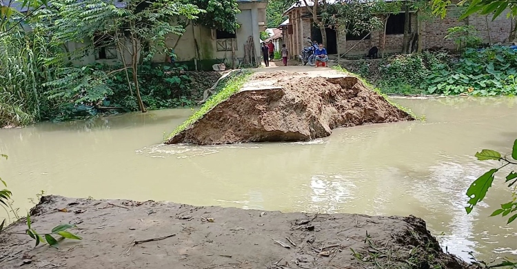 নওগাঁয় আত্রাই নদীর বেড়িবাঁধ ভেঙে লোকালয়ে ঢুকছে পানি