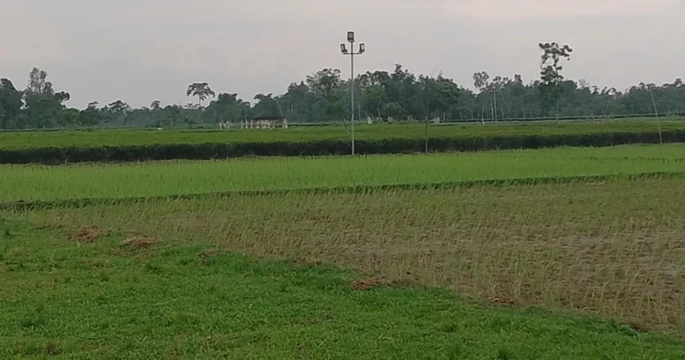 পাটগ্রাম সীমান্তের অভ্যন্তরে ভারতীয় ড্রোনের অনুপ্রবেশ, উত্তেজনা