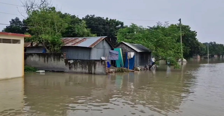 চাঁপাইয়ে পদ্মার পানি বেড়ে প্লাবিত নিম্নাঞ্চল, পানিবন্দি সাড়ে ৮ হাজার পরিবার
