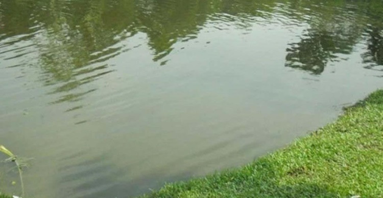 পুকুর থেকে দুই শিশুর মরদেহ উদ্ধার