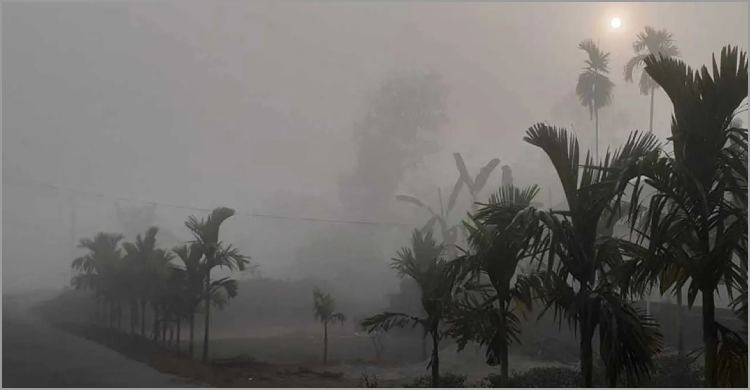 তেঁতুলিয়ায় শৈত্যপ্রবাহ, তাপমাত্রা ৯ ডিগ্রির ঘরে