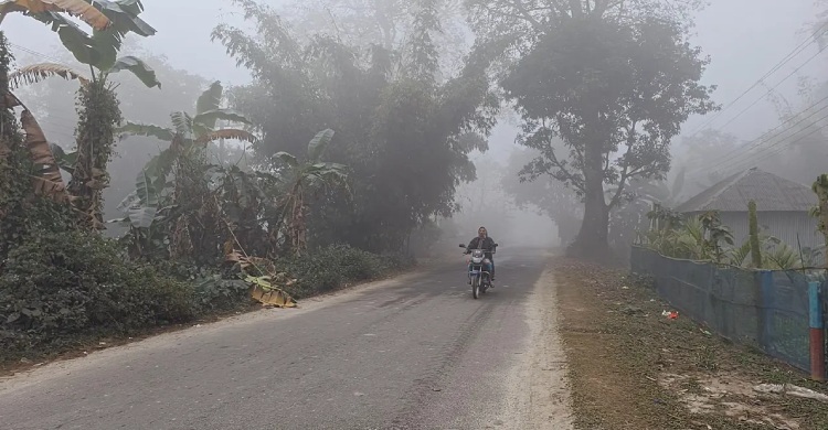 তেঁতুলিয়ায় বেড়েছে তাপমাত্রা, কমেনি শীতের দাপট