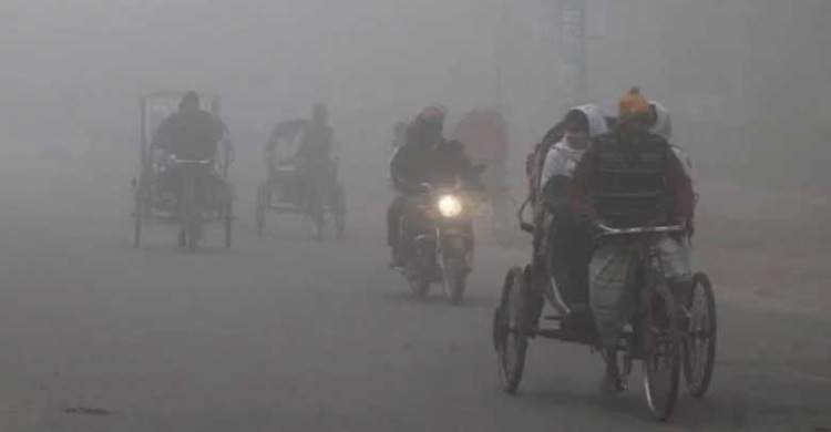 কুয়াশার চাদরে ঢাকা পঞ্চগড়, দেখা নেই সূর্যের