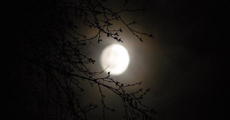 আজ বছরের দীর্ঘতম রাত