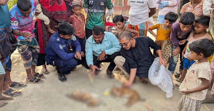 মুরগির বাচ্চা খাওয়ায় অপরাধে পিটিয়ে মারা হলো ২ কুকুরছানা