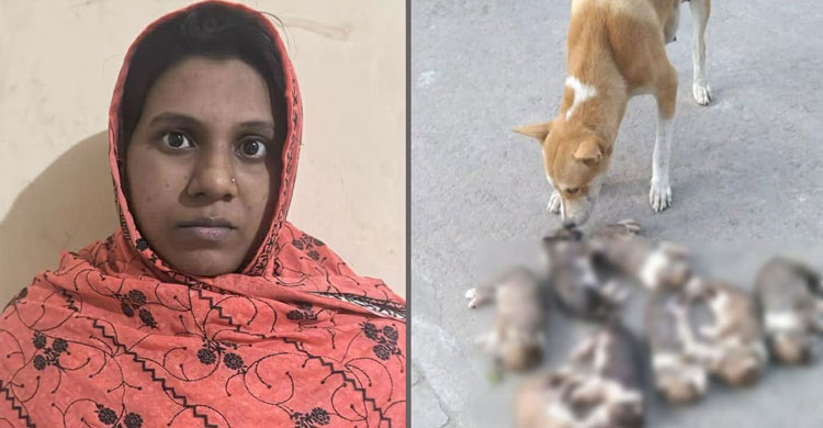 কারাগারে পাঠানো হলো সেই নারীকে