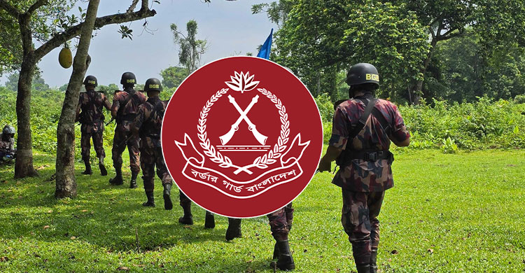 বীরত্বপূর্ণ কাজের স্বীকৃতি পাচ্ছেন বিজিবির ৭২ জন