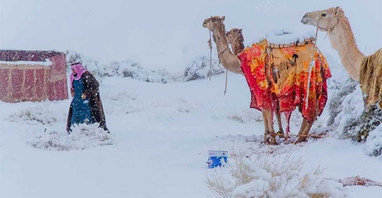 সৌদিতে বিরল তুষারপাত, মরুভূমি ঢাকল বরফে
