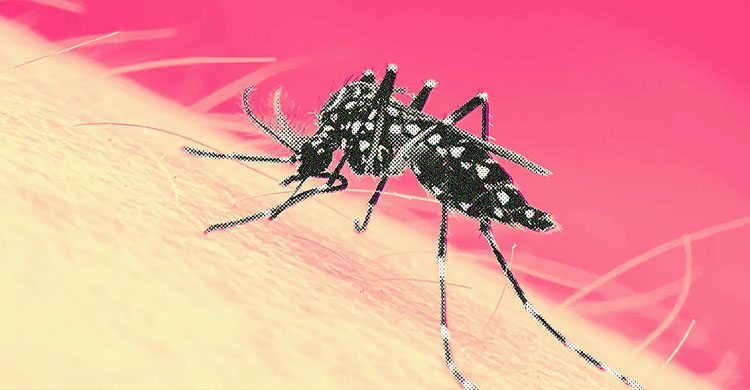 ডেঙ্গুতে মৃত্যু ৪০০ ছাড়াল