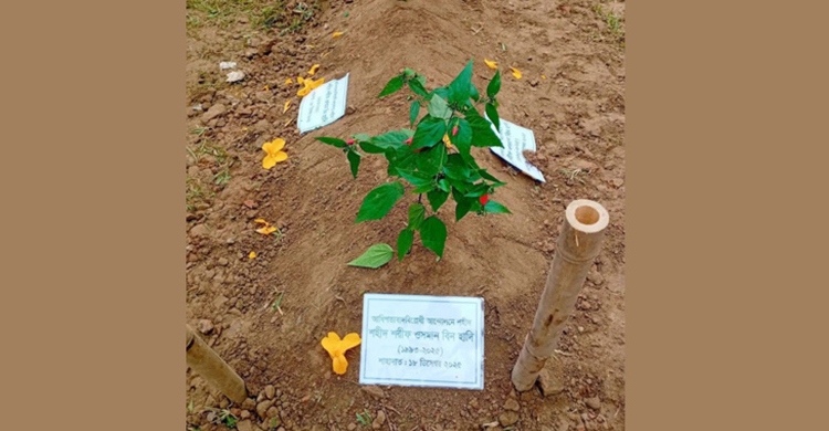 শহীদ হাদির এপিটাফে যা লেখা হলো