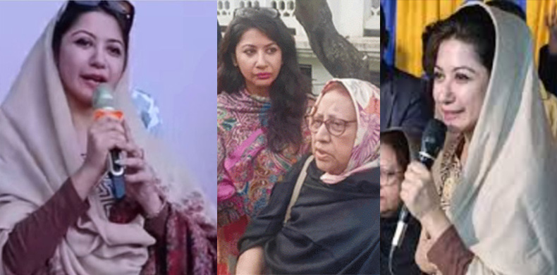 ভোটের মাঠ দাপিয়ে বেড়াচ্ছেন মির্জা ফখরুলের স্ত্রী-কন্যা