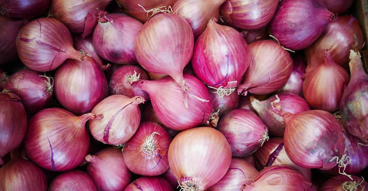 সীমিত আকারে পেঁয়াজ আমদানির সিদ্ধান্ত