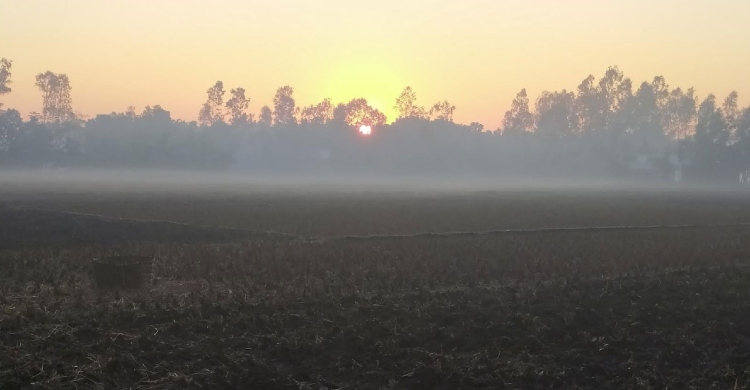সপ্তাহজুড়ে শৈত্যপ্রবাহে কাঁপছে তেঁতুলিয়ায়