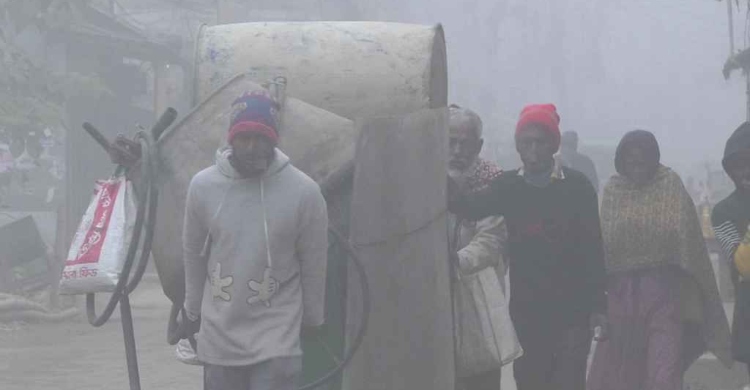 নওগাঁয় বৃষ্টির মতো ঝরছে কুয়াশা, সূর্যের দেখা নেই