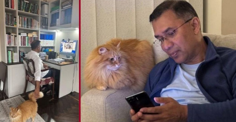 তারেক রহমানের সাথে দেশে ফেরার সঙ্গী ‘জেবু’