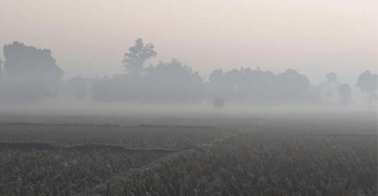 তেঁতুলিয়ায় হাঁড় কাপাচ্ছে শীত