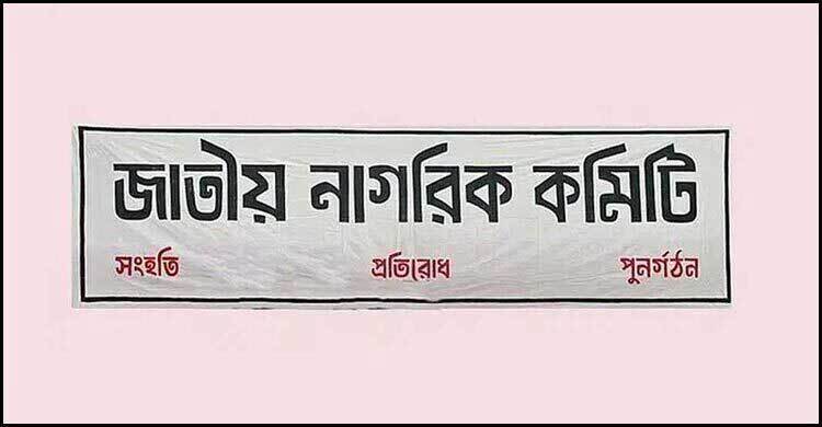 আন্তর্জাতিক সম্পর্ক-কূটনীতি সেল গঠন করলো জাতীয় নাগরিক কমিটি