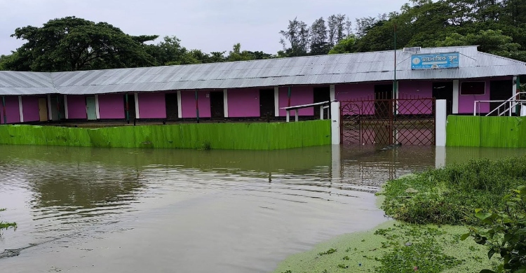 নোয়াখালীতে পানিবন্দি ৬৪ হাজার পরিবার, প্রস্তুত ৪৬৬টি আশ্রয়কেন্দ্র