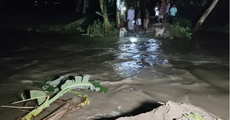 বিপৎসীমার ওপরে তিস্তার পানি, ধুবনি বাঁধ ভেঙে পানি ঢুকছে লোকালয়ে