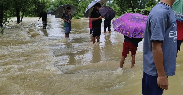 ফেনীতে এখনো পানিবন্দি ৭ হাজার পরিবার