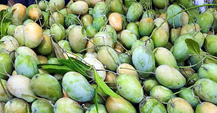 কলকাতায় গেলো ৪০০ কেজি আম