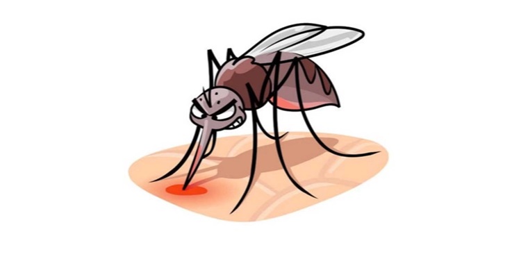 ডেঙ্গুতে বরিশালে একজনের মৃত্যু
