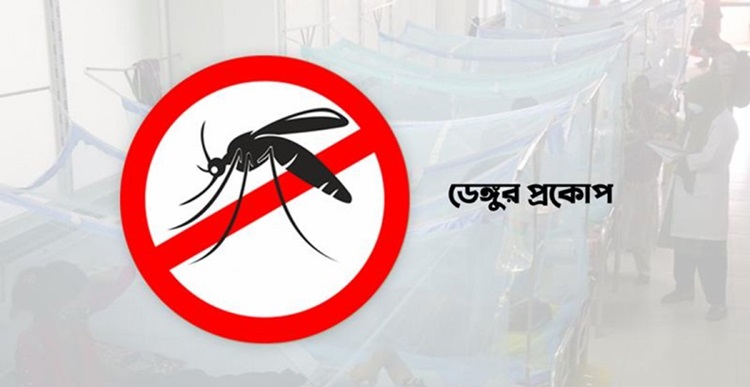 ২৪ ঘণ্টায় ডেঙ্গুতে আক্রান্ত ৩১৭