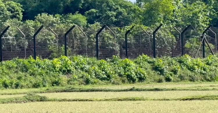 ফেনী সীমান্তে বিএসএফের গুলিতে বাংলাদেশি নিহত