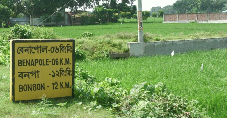 শার্শায় আ.লীগ কর্মীদের হামলায় বিএনপি কর্মী খুন