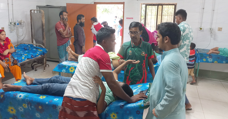 চাঁদপুরে কোরবানির পশু জবাই করতে গিয়ে আহত তিন শতাধিক