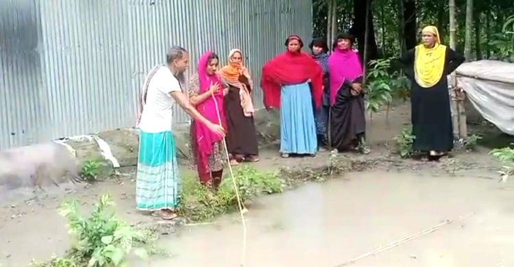 ফরিদপুরে ডোবায় পড়ে দুই বোনের মৃত্যু