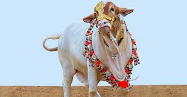 ঈদের তৃতীয় দিন যে সময় পর্যন্ত কোরবানি করা যাবে