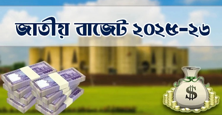 আজ জাতির উদ্দেশ্যে বাজেট উপস্থাপন করবেন অর্থ উপদেষ্টা