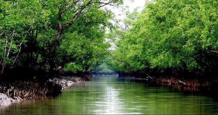 সুন্দরবনে প্রবেশে তিন মাসের নিষেধাজ্ঞা