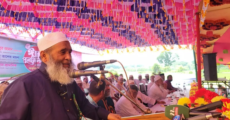 সব ইসলামী দলের একটি ভোট বাক্স থাকবে: অধ্যাপক মুজিবুর রহমান