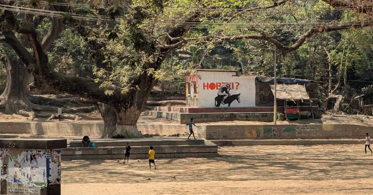 গাধার পিঠের ‘ভাবুক’ নিয়ে কৌতূহল