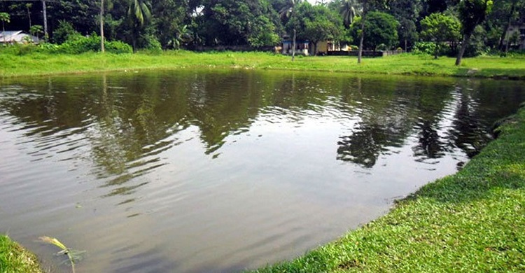 পুকুরের পানিতে ডুবে ভাই-বোনের মৃত্যু