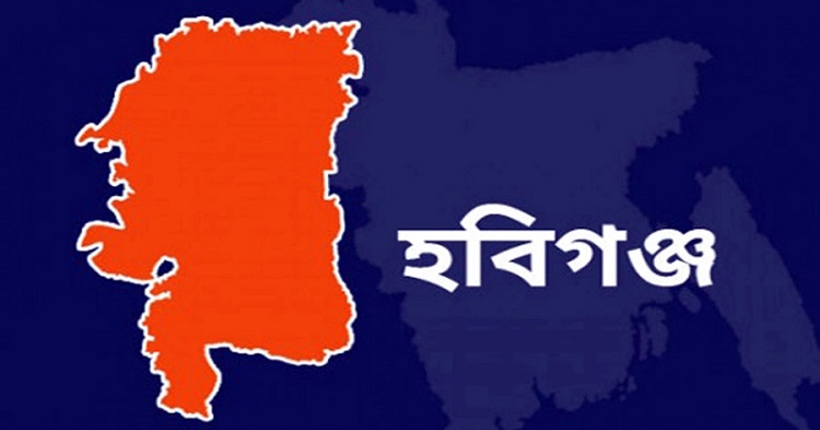 হবিগঞ্জে ভাবি ও তার সন্তানদের হত্যা মামলায় যুবকের মৃত্যুদণ্ড