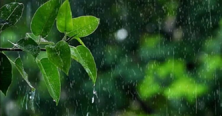 দেশের কিছু কিছু জায়গায় বজ্রসহ বৃষ্টি হতে পারে