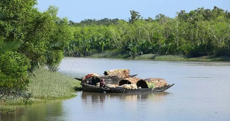 সুন্দরবনের ১০ কিলোমিটার এলাকাজুড়ে নতুন শিল্পপ্রতিষ্ঠান স্থাপনে নিষেধাজ্ঞা