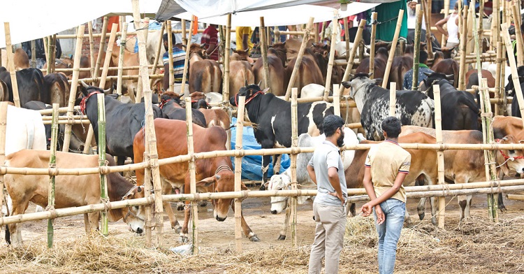 অনুমতি ছাড়া রেললাইন-সংলগ্ন এলাকায় পশুর হাট না বসানোর অনুরোধ