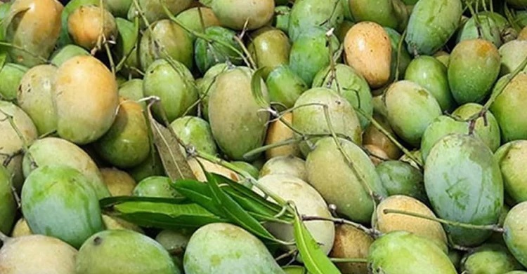 ২৮ মে চীনে আমের প্রথম চালান পাঠাবে বাংলাদেশ