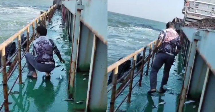 গভীর সমুদ্রে জাহাজে লাফিয়ে উঠল ৩ মণ ইলিশ